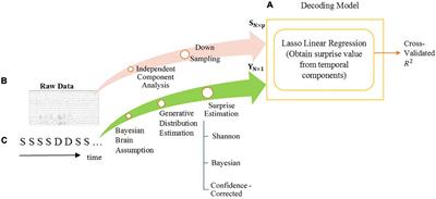 Spatiotemporal Signatures of Surprise Captured by Magnetoencephalography